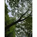 もか|八千代市 八千代台南のキャバクラ|REVE(レイブ)