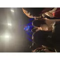 まき|葛飾区 立石のスナック|グリーンパンサー()