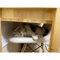 みつき|長野市 鶴賀上千歳町のキャバクラ|華火(ハナビ)