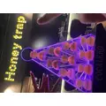 りり|鹿児島市 千日町のガールズバー|Honey trap(ハニートラップ)
