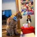 桜井 もも|福岡市 博多区中洲のキャバクラ|REX(レックス)
