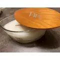 夢咲 さくら|札幌市 すすきののニュークラブ|Fillia(フィリア)
