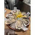 さやか|船橋市 本町のキャバクラ|Donfin(ドンフィン)