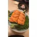 一条 れん|名古屋市 中区錦のクラブ|色錦()