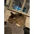 華宮 れい|札幌市 すすきののニュークラブ|P&J(ピーアンドジェイ)