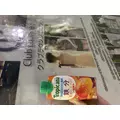 しおん|新宿区 歌舞伎町のラウンジ|:(コロン)