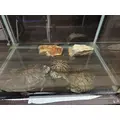エミ （スタッフ）|海部郡 蟹江町錦のキャバクラ|carthago(カルタゴ)