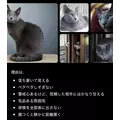 黒崎 茉凛|さいたま市 大宮区仲町のキャバクラ|Luxe(ラグゼ)