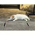 かえで|長崎市 銅座町のガールズバー|G291(ジーニクイチ)