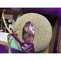 あや|長崎市 本石灰町のニュークラブ|ADANSONIA(アダンソニア)