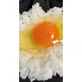 まゆか|海部郡 蟹江町錦のキャバクラ|carthago(カルタゴ)