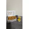 姫乃 みゆな|札幌市 中央区南のニュークラブ|Leicester(レスター)