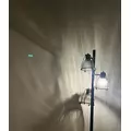 黒川 すみれ|札幌市 中央区南のニュークラブ|Leicester(レスター)