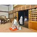 スズ|さいたま市 大宮区仲町のキャバクラ|ai(アイ)