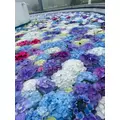 ちひろ|長崎市 本石灰町のキャバクラ|AERA(アエラ)