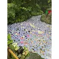 美宙ゆず|福岡市 博多区中洲のキャバクラ|Red Shoes(レッドシューズ)