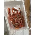 綾瀬 セナ|札幌市 中央区南のニュークラブ|Leicester(レスター)
