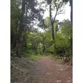 聖菜|さいたま市 大宮区仲町のキャバクラ|ai(アイ)
