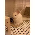 セナ|さいたま市 大宮区仲町のキャバクラ|ai(アイ)