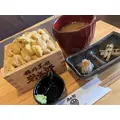 夢咲 さくら|札幌市 すすきののニュークラブ|Fillia(フィリア)