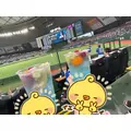 なみ|葛飾区 高砂のガールズバー|Chamomile(カモミール)