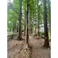 せら|船橋市 本町のキャバクラ|Donfin(ドンフィン)