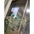 ある|さいたま市 大宮区仲町の朝キャバ|Bee-One(ビーワン)