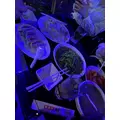 ミン|横浜市 中区福富町のキャバクラ|ROYAL(ロイヤル)