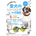 みこ|福岡市 博多区中洲のキャバクラ|ROYALE(ロワイヤル)