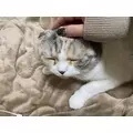 みつき|長野市 鶴賀上千歳町のラウンジ|K-LOUNGE(ケーラウンジ)