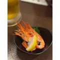 柊 まりん|札幌市 すすきののニュークラブ|Fillia(フィリア)