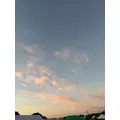 佐野 エマ|札幌市 中央区南のニュークラブ|Leicester(レスター)