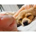 るな|船橋市 本町のキャバクラ|Donfin(ドンフィン)