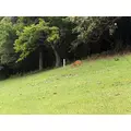 あすか|松戸市 本町のキャバクラ|THEMIS(テミス)