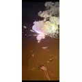 りか|世田谷区 北沢のキャバクラ|Variente(バリエンテ)