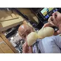 あおい|立川市 錦町の朝・昼キャバ|Mandarin Club（朝・昼）(マンダリンクラブ（朝・昼）)