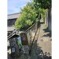 ゆり|福岡市 博多区中州のスナック|HALEMOANA(ハレモアナ)