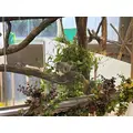 ウララ|小田原市 栄町のガールズバー|& Co.(アンドコー)