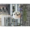 まどか|長崎市 本石灰町のニュークラブ|ADANSONIA(アダンソニア)