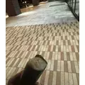 華宮 りりあ|札幌市 すすきののニュークラブ|Fillia(フィリア)