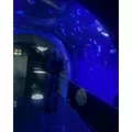 ユズ|さいたま市 大宮区仲町のキャバクラ|ai(アイ)