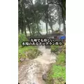 みこ|福岡市 博多区中洲のキャバクラ|ROYALE(ロワイヤル)