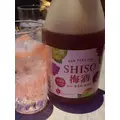 八吹 唯菜|さいたま市 大宮区仲町のキャバクラ|ai(アイ)