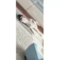 華咲 えみり|札幌市 すすきののニュークラブ|Fillia(フィリア)