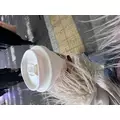 みみ|渋谷区 宇田川町のキャバクラ|BABEL(バベル)