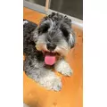 しほ|都城市 牟田町のキャバクラ|Jardin(ハルディン)