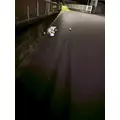 えりな|都城市 牟田町のキャバクラ|Jardin(ハルディン)