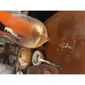 まき|葛飾区 立石のスナック|グリーンパンサー()