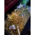 ミン|横浜市 中区福富町のキャバクラ|ROYAL(ロイヤル)