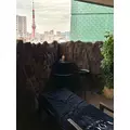 スズ|さいたま市 大宮区仲町のキャバクラ|ai(アイ)